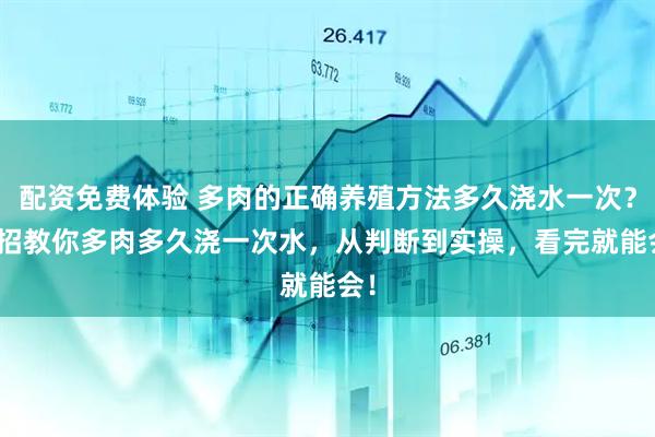 配资免费体验 多肉的正确养殖方法多久浇水一次？4 招教你多肉多久浇一次水，从判断到实操，看完就能会！