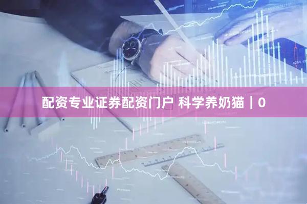 配资专业证券配资门户 科学养奶猫｜0